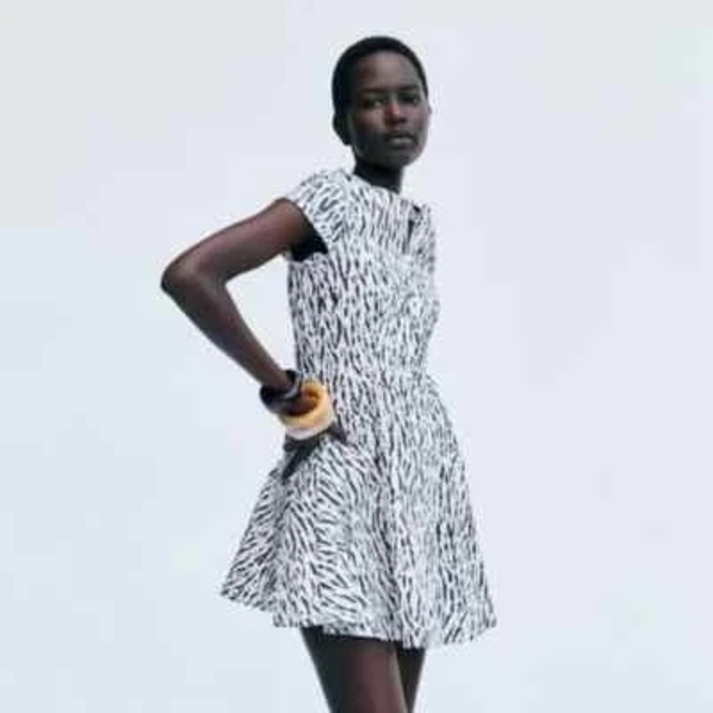 Zara Black and White Patterned Mini Dress